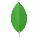 technologyicon